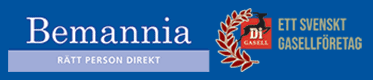 Bemannia Executive AB logo
