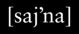 Sajna i Norrtelje AB logo